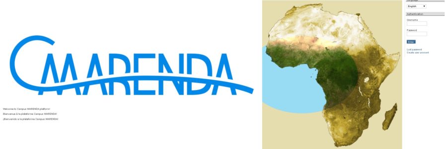 Trainings & e-learning platform